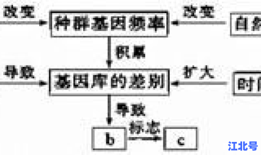 各地返乡隔离条件一样吗，地域隔离和地理隔离