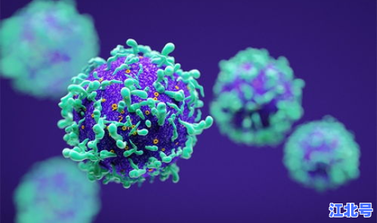 山东发现病毒是真的吗 ？山东最近流行的病毒