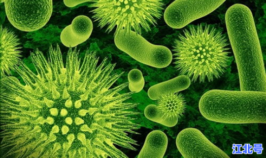 黑龙江有感染冠状病毒的吗(冠状病毒有哪些)