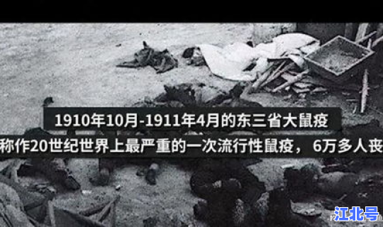 疫情还会再一次爆发吗，鼠疫还会爆发吗