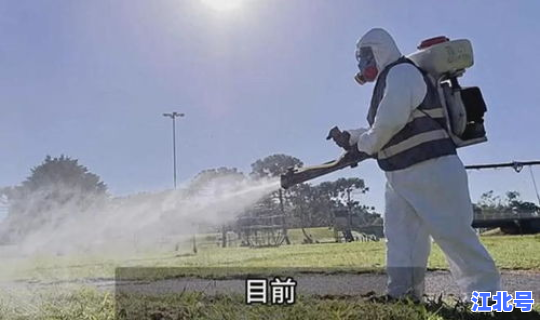 疫情多地爆发？各地疫情