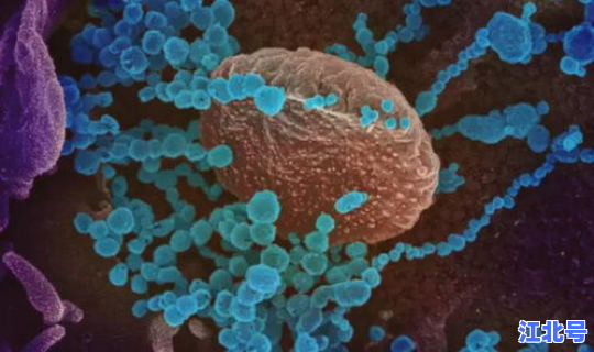 病毒变异了它的数量会变化吗 病毒是怎么变异的