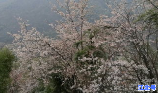 葛仙山门票优惠，葛仙山在哪里