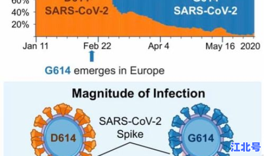 目前有哪个国家没有新冠病毒，世界唯一没有新冠病毒的国家