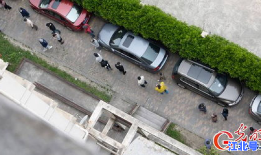 上海连续几天没有疫情了(上海有什么病正在发生)