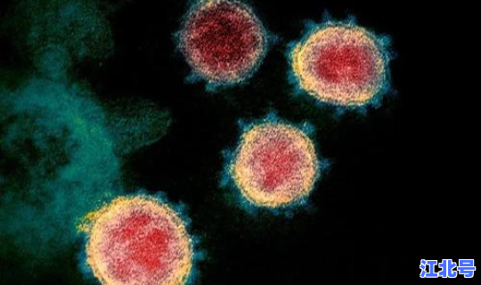 新冠病毒现在哪里严重了(目前新冠严重吗)
