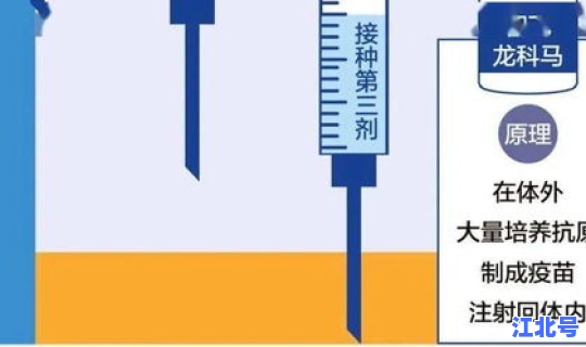 陕西新增一例境外输入冠状病毒(陕西有新冠疫情吗)