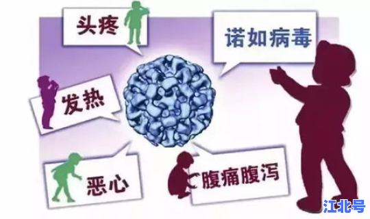 病毒变异了嘛？诺如病毒