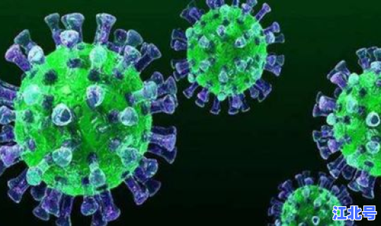 遂宁新型冠状病毒最新消息(新型冠状病毒的结构)