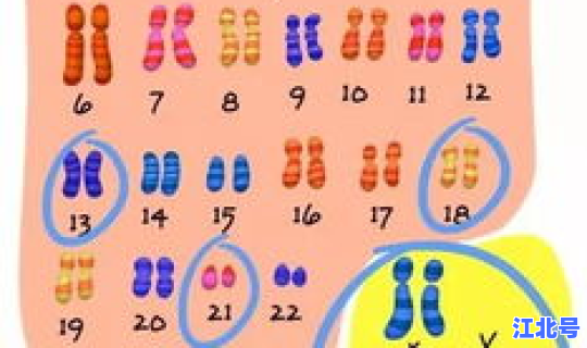 临界风险和高风险 唐氏高风险怎么办