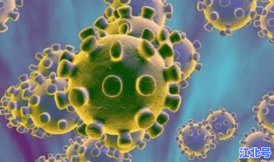 新冠病毒英国死亡多少人?冠型病毒症状 新冠病毒英国死亡多少人?冠型病毒症状