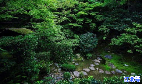 返景入深林复照青苔上的上一句 返景人深林复照青苔上