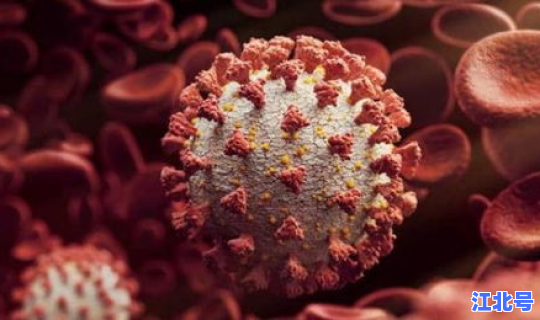 浙江杭州新冠病毒情况 冠状病毒肺炎