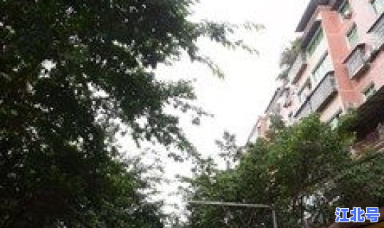 邻水县是哪个区，邻水县最好小区排名