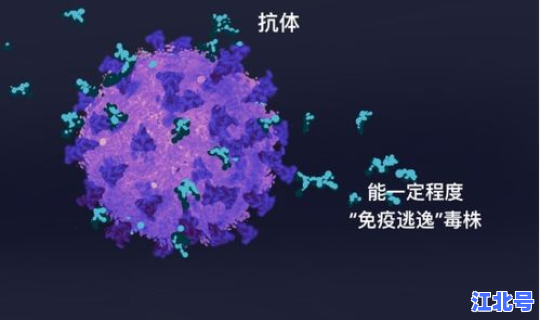新冠病毒变异毒株德尔塔多久发病？病毒为什么会变异