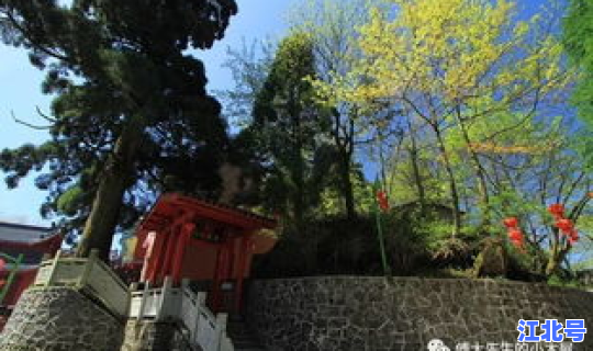 葛仙村封山了吗(葛仙山和葛仙村在一起吗)