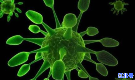 近期深圳流行什么病毒 最近深圳爆发的流感叫什么