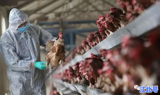 湖南感染病毒最新消息新闻 湖南今日重大新闻