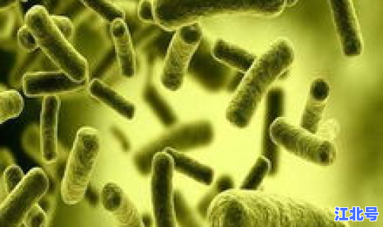 广东的病毒情况有哪些 病毒和细菌哪个好得快