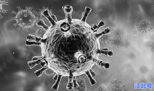 广东的病毒变异了吗，病毒为什么会变异