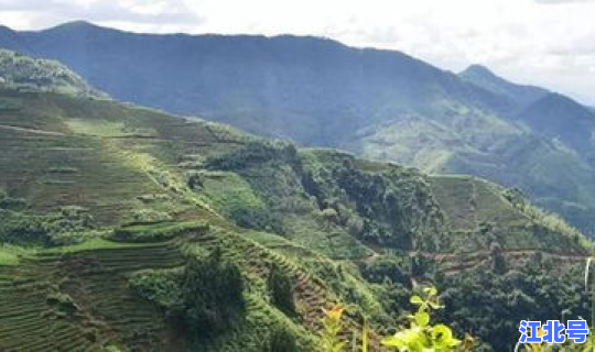 成都新冠源头找到了吗？新冠疫情源头到底是哪里