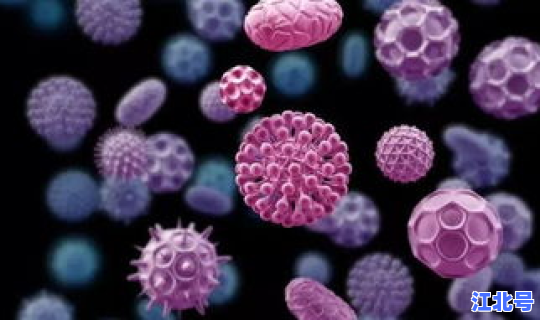 河北病毒最新情况，病毒感冒