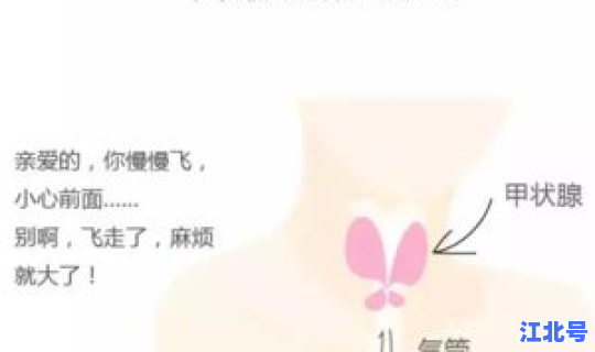 河南发病率最高的疾病 中国患病率最高十大疾病