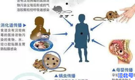 病毒感冒多少天痊愈(病毒感冒多久不传染人)