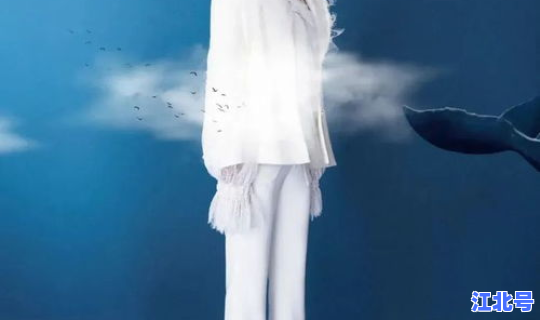 石家庄官宣演唱会 刘若英演唱会