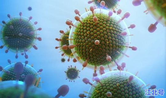 病毒多久会死 艾滋病多久会死亡