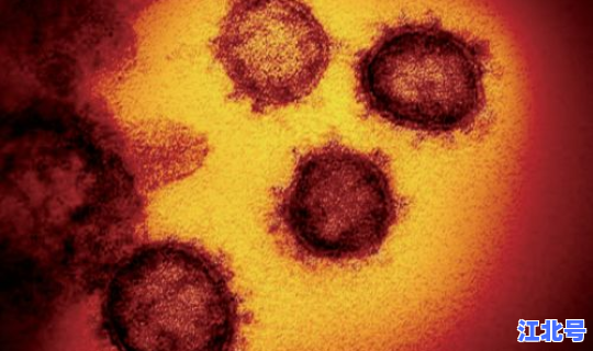 新疆新冠病毒最新(新冠形病毒的症状)