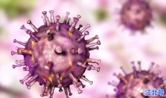 河南病毒现在有没有了啊(中国还有没有病毒感染)