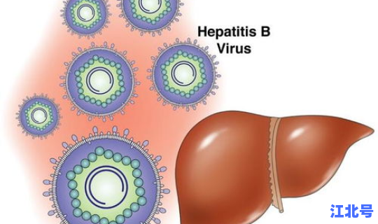 核酸检测传播病毒 乙肝病毒核酸定量