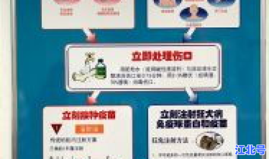 朝阳区现在是不是高风险区(朝阳区疾病预防控制中心)