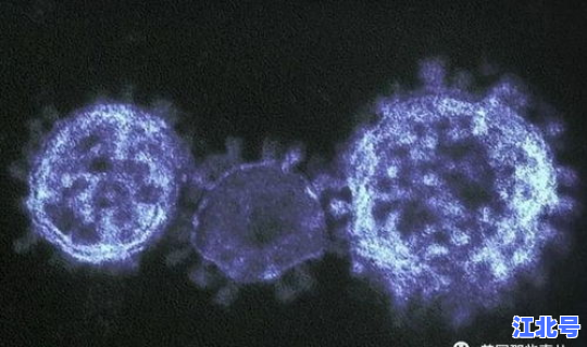 变异毒株在英国蔓延了多久，新型变异毒株“mu”已蔓延至39国