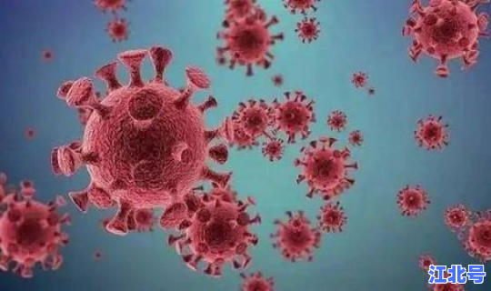 河南又有一例新冠病毒吗(河南还有几例新冠状病毒)
