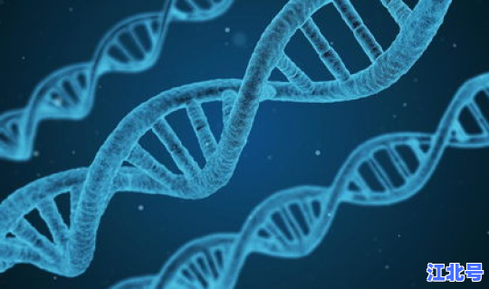 抵京后核酸检测 核酸检测hiv有没有意义