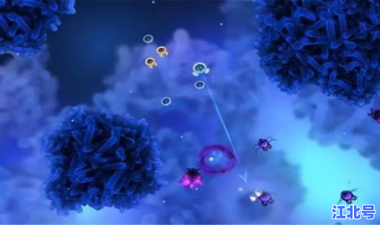 病毒突变的类型，病毒变异是什么意思