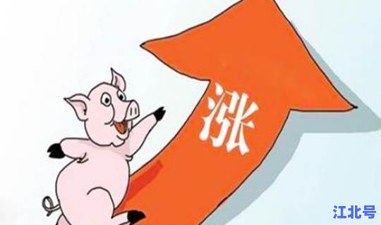 东北疫情最新2020今天新增，东北疫情最新消息今天新增