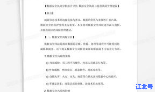 风险评估报告 安全评估报告