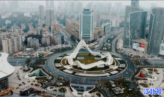 武汉疫情哪几个地区最严重(武汉有疫情吗)