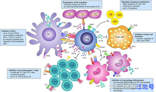 2020年病毒感染症状(最新型的病毒症状是什么)
