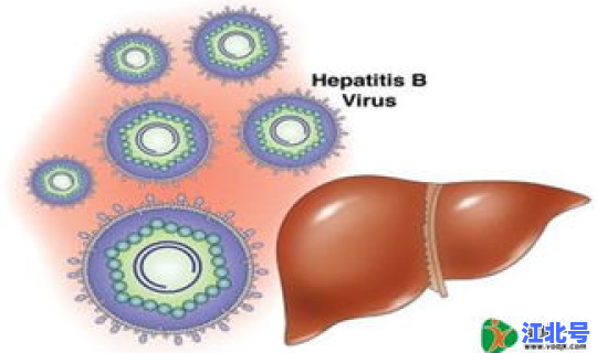 病毒变异了多少种(乙肝病毒变异)