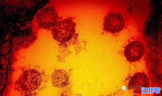 英国新冠病毒死亡数据?新型病毒 英国新冠病毒死亡数据?新型病毒