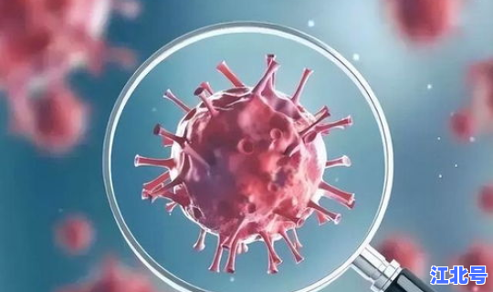 新病毒感染人数(病毒感染最明显的症状) 新病毒感染人数(病毒感染最明显的症状)