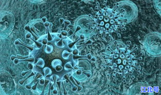 病毒变异后果 怎样判断乙肝病毒变异