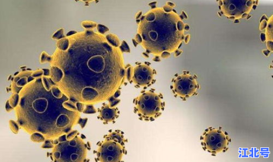 陕西最近新冠病毒疫情 病毒疫情