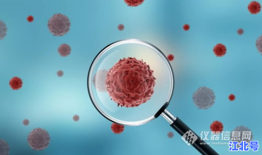 辽宁新冠病毒感染情况(新病毒感染)