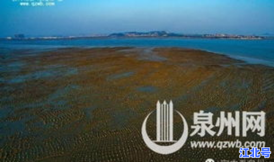 泉州滨海公园有没有沙滩，滨海公园在哪里