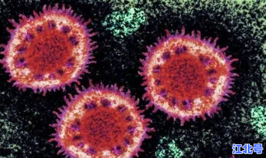 最新疫情最新病毒，最新肺炎病毒感染